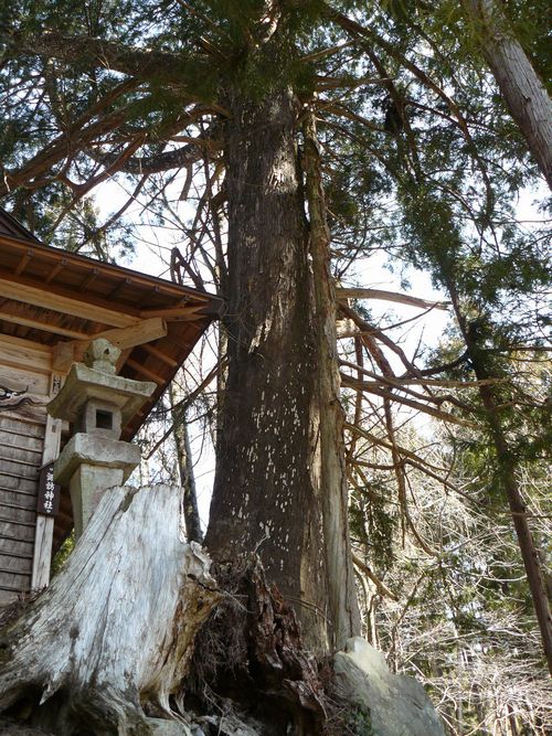 �݂Ȃ��ݒ��F�z�K�_��