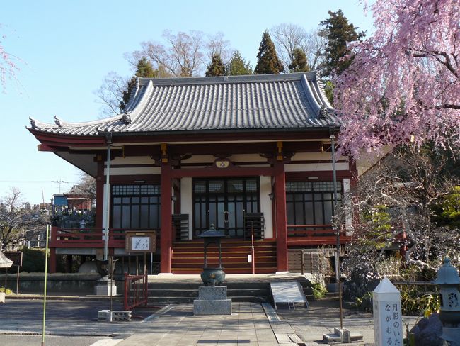 ���V�𒬁F������