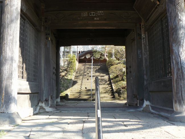 ���V�𒬁F�я���