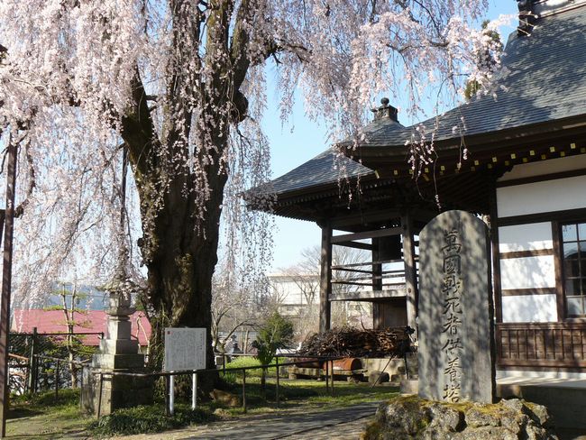 ���V�𒬁F�я���