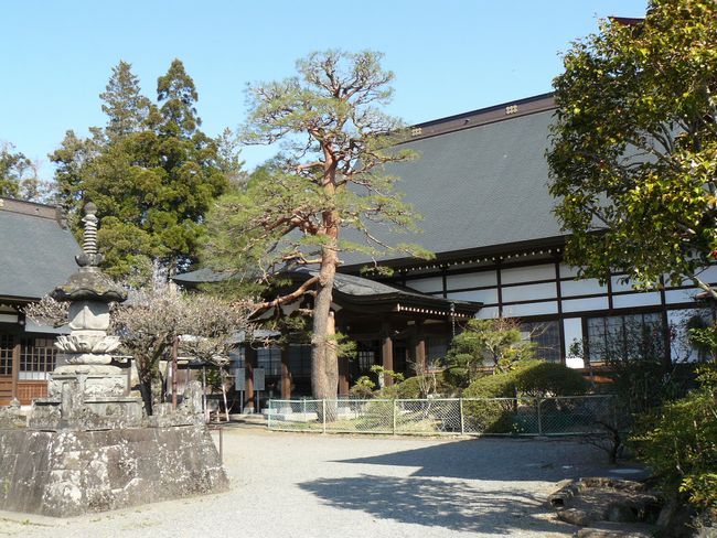 ���V�𒬁F�я���