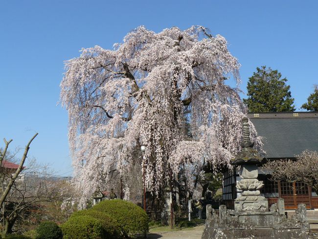 ���V�𒬁F�я���