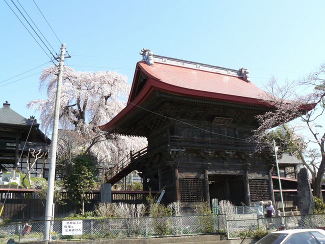 ���V�𒬁F�я���