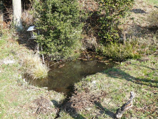 ���V�𒬁F�����̐��S