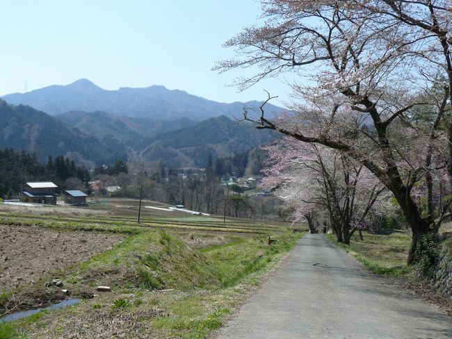 ���V�𒬁F�@�{��