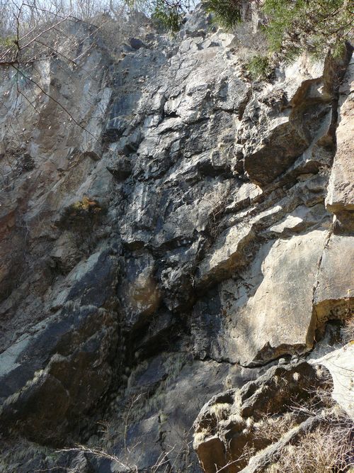 ���V�𒬁F��