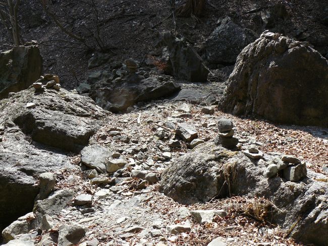 ���V�𒬁F���~�̑�