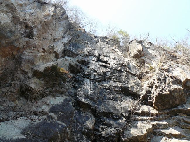 ���V�𒬁F���~�̑�