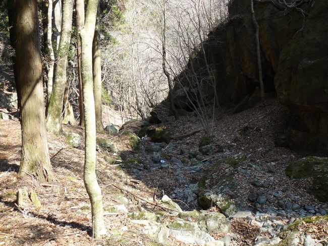 ���V�𒬁F���~�̑�