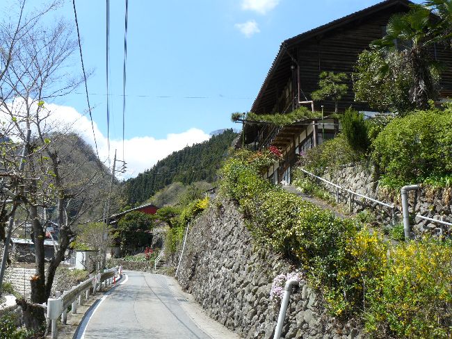 ��q���F������