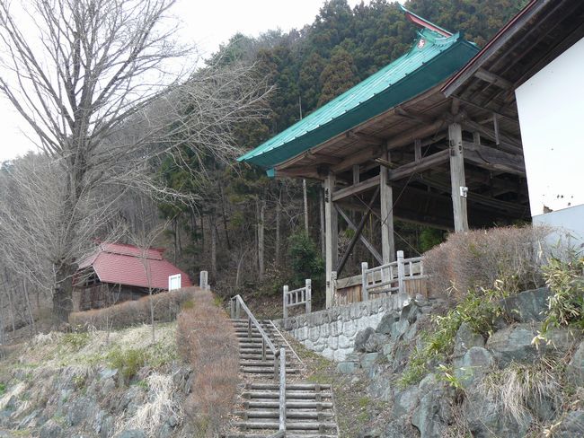 ���c�s�F�㔭�m���̕��ꕑ��