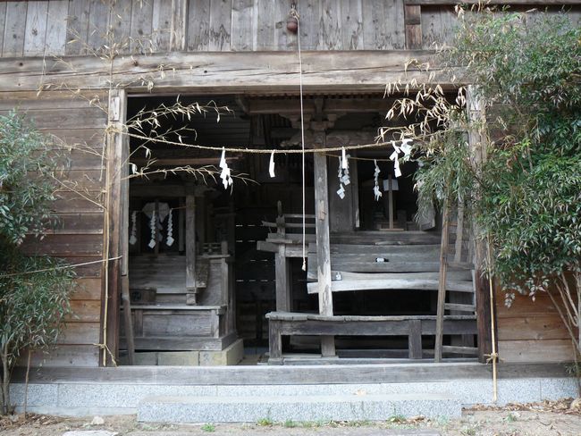 ���c�s�F�㔭�m���̕��ꕑ��