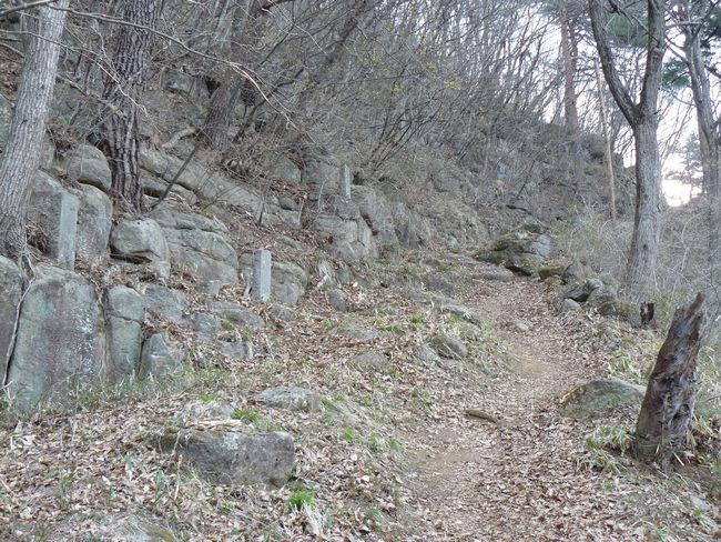 ���c�s�F�͓��_�ЁE�Q���Q