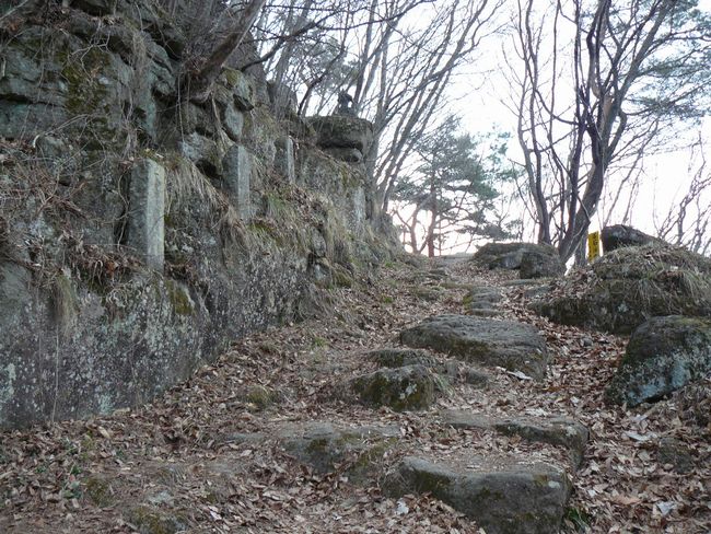 ���c�s�F�͓��_�ЁE�Q���R