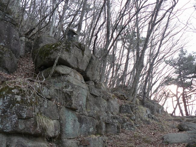 ���c�s�F�͓��_�ЁE�Q���S