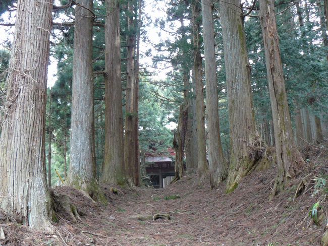 ���c�s�F�ޗt�R���ӎ��E�Q��