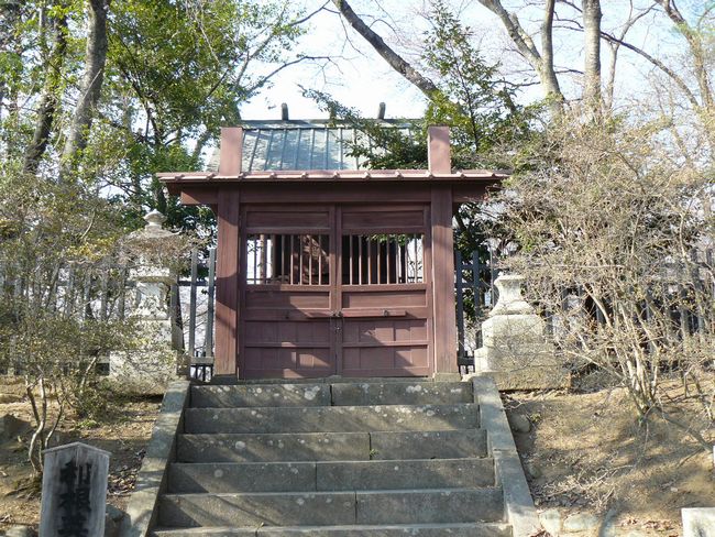 ���c�s�F���c��