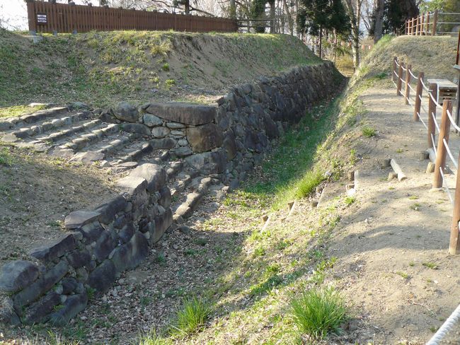 ���c�s�F���c��