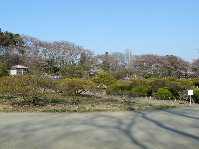 ���c�s�F���c��