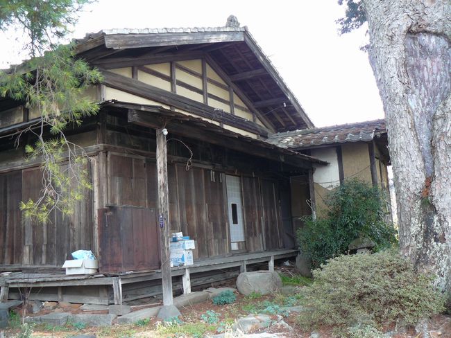 ���c�s�F�����̏��@