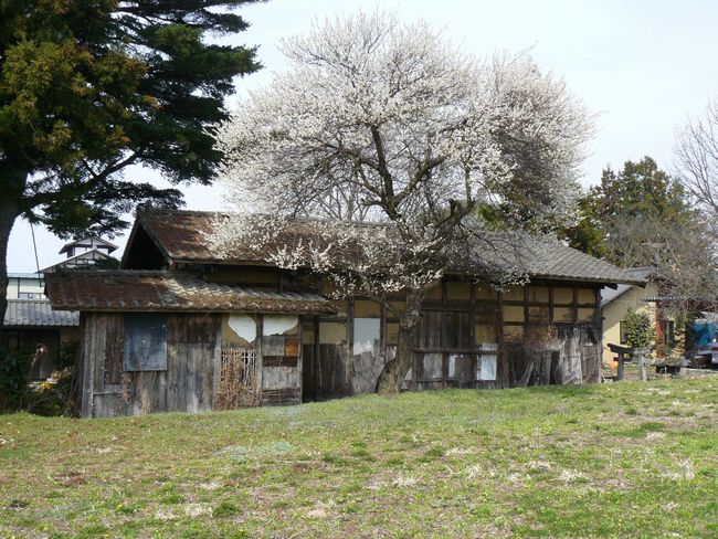 ���c�s�F�����̏��@