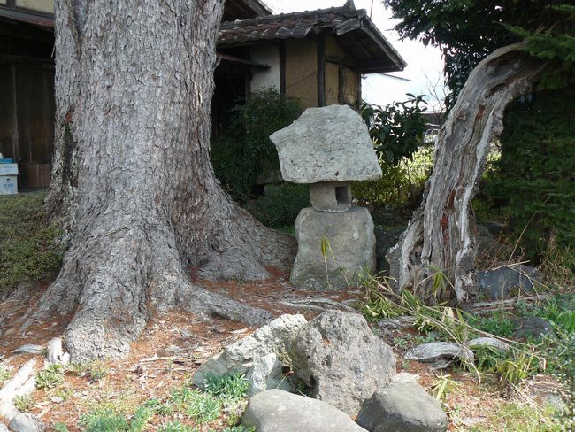 ���c�s�F�����̏��@