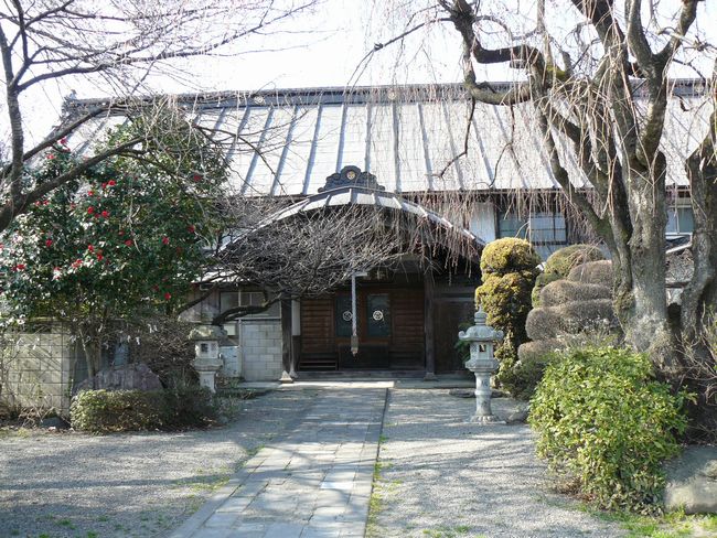 ���c�s�F���o���E�{��