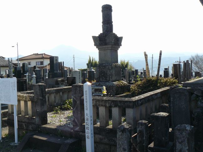 ���c�s�F���o���E��@�@�a�̕�