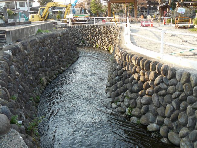 ���c�s�F�V�j���E���c�p��