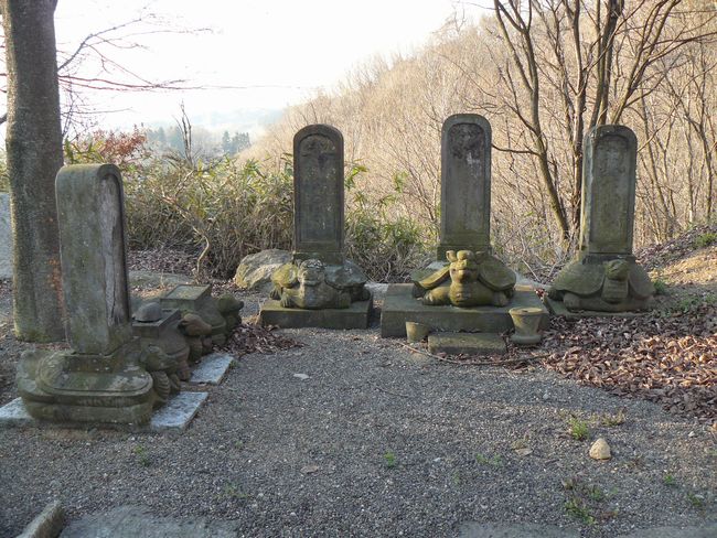 ���c�s�F���T���E�y��ƕ��