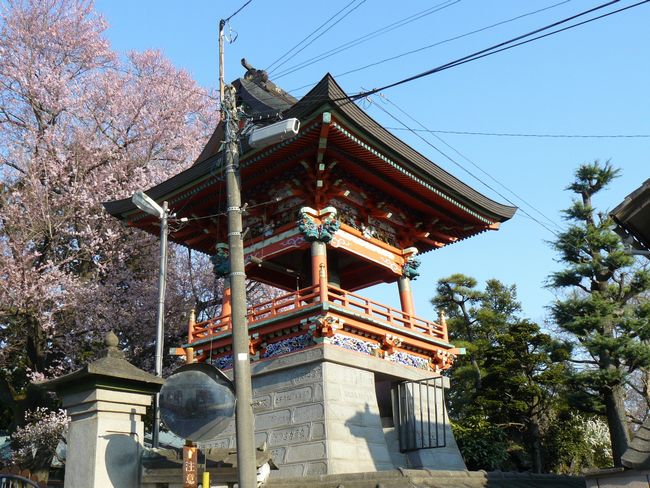 ���c�s�F�핟���E���O