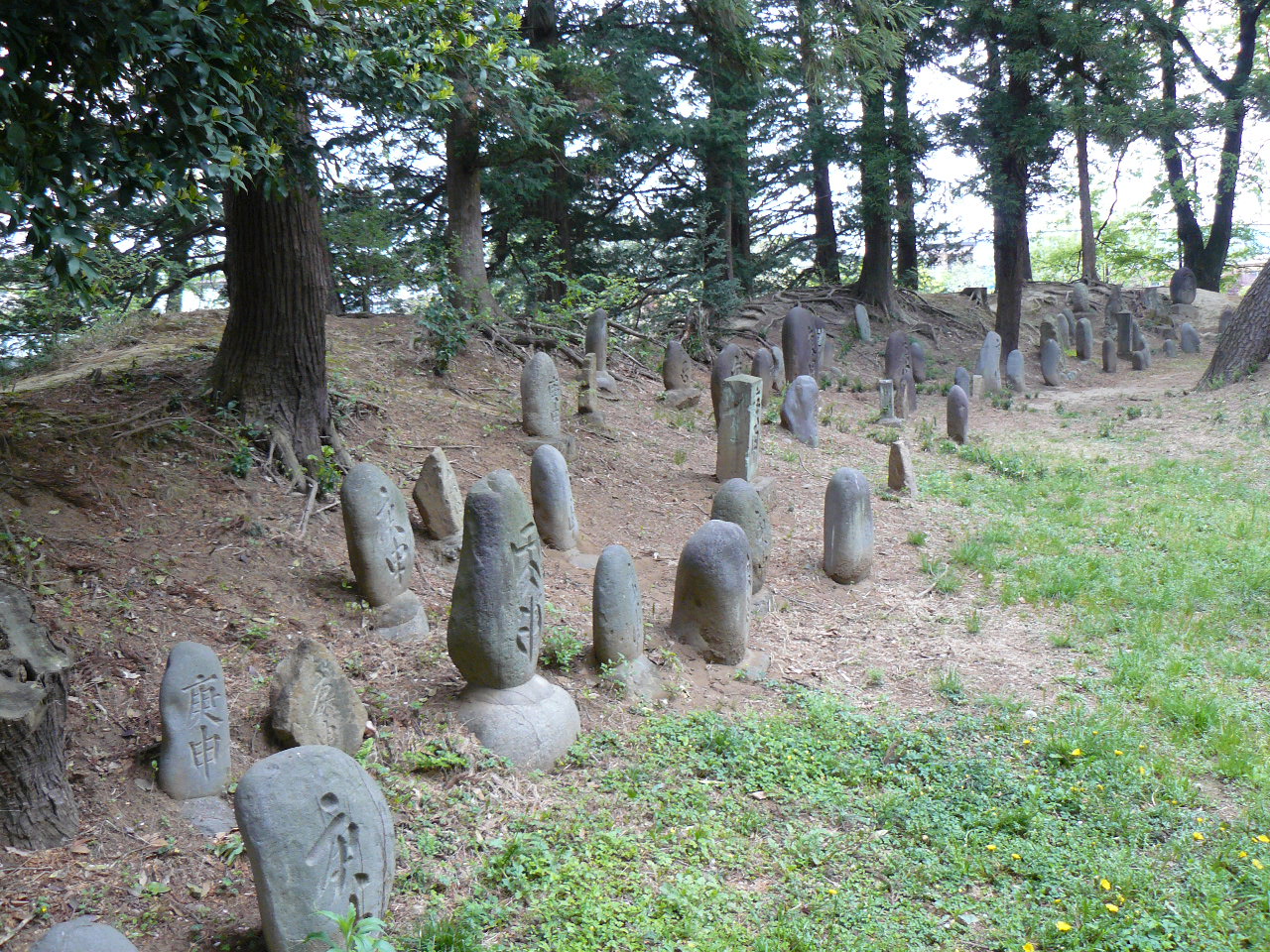 ��򒬁F�S�M�\