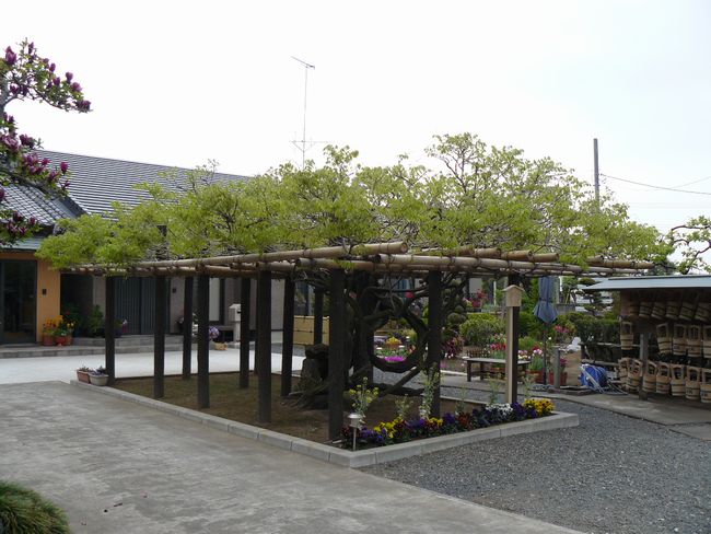 ��򒬁F����@