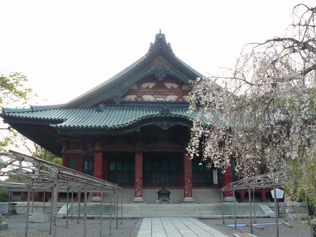 ���c�s�F����@