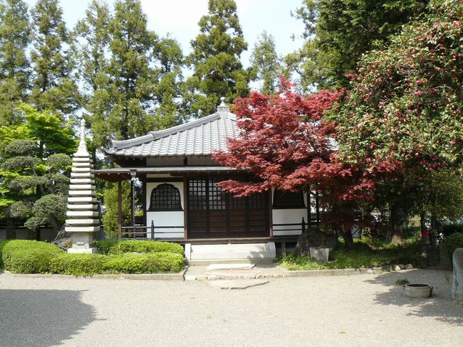 ���c�s�F�i����