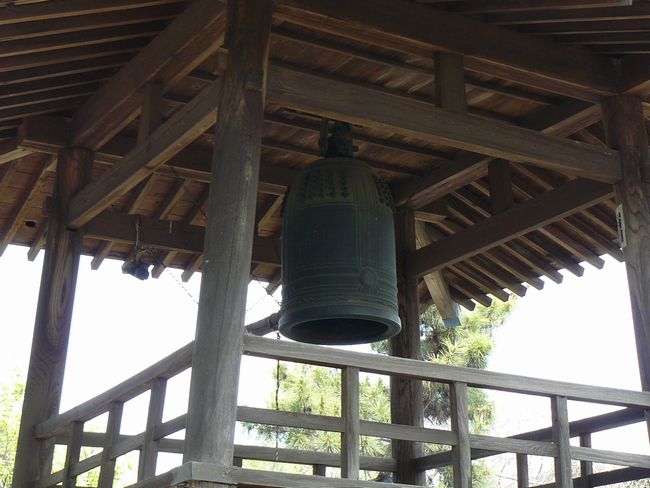 ���c�s�F���厛