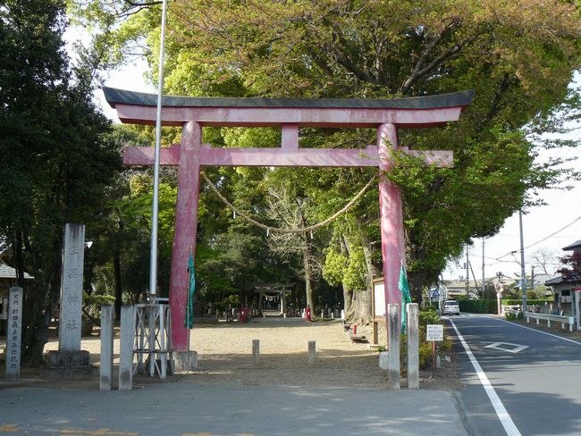 ���c�s�F���i�_��