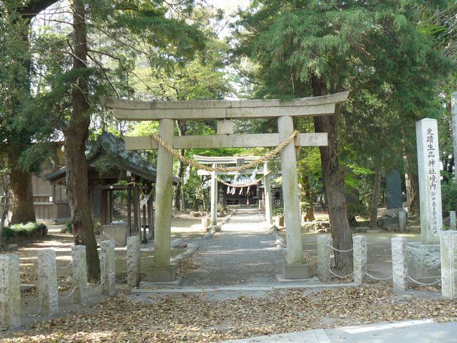 ���c�s�F���i�_��