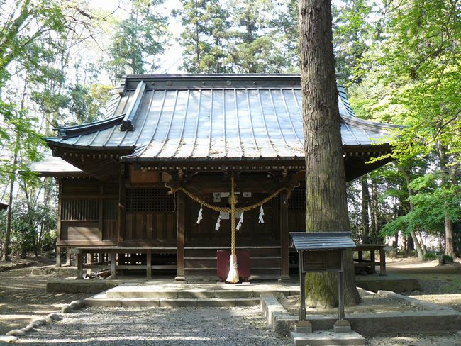 ���c�s�F���i�_��