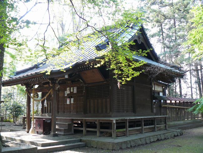 ���c�s�F���i�_��