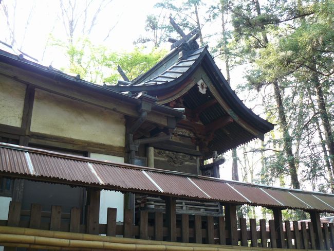 ���c�s�F���i�_��