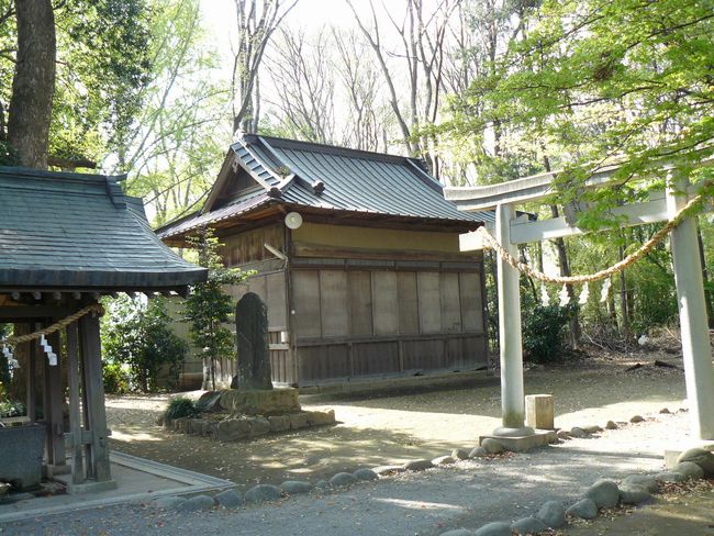 ���c�s�F���i�_��