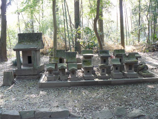 ���c�s�F���i�_��