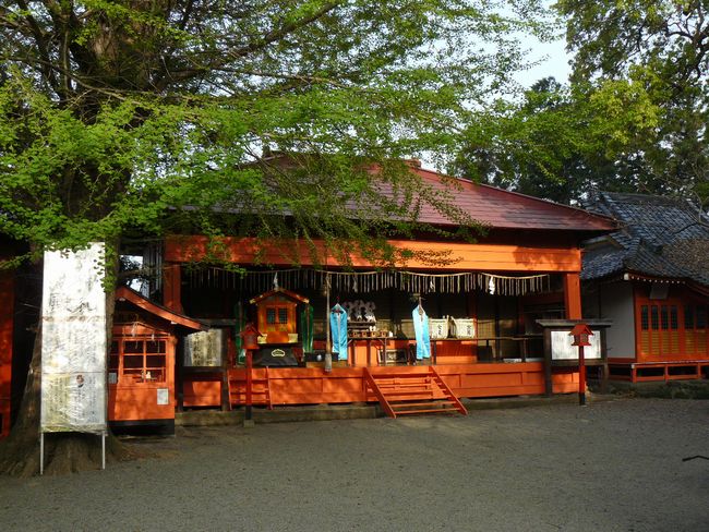 ���c�s�F����א_��