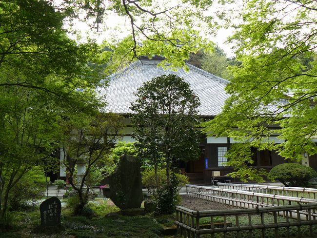 ���c�s�F������