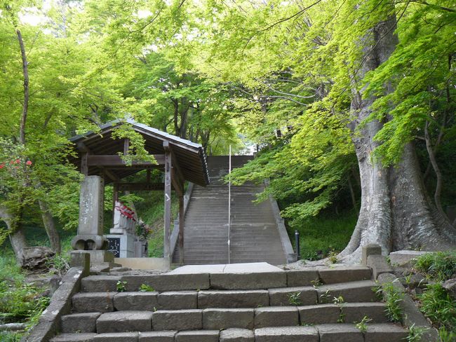 ���c�s�F������