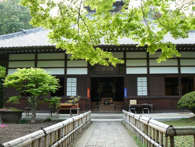 ���c�s�F������