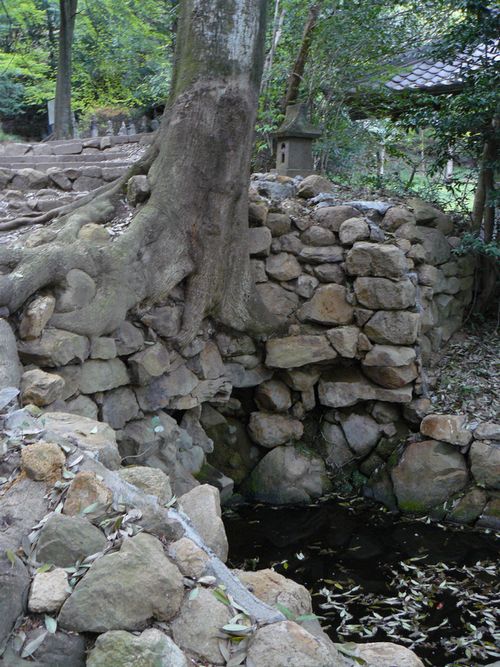 ���c�s�F������