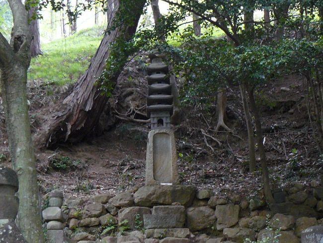 ���c�s�F������