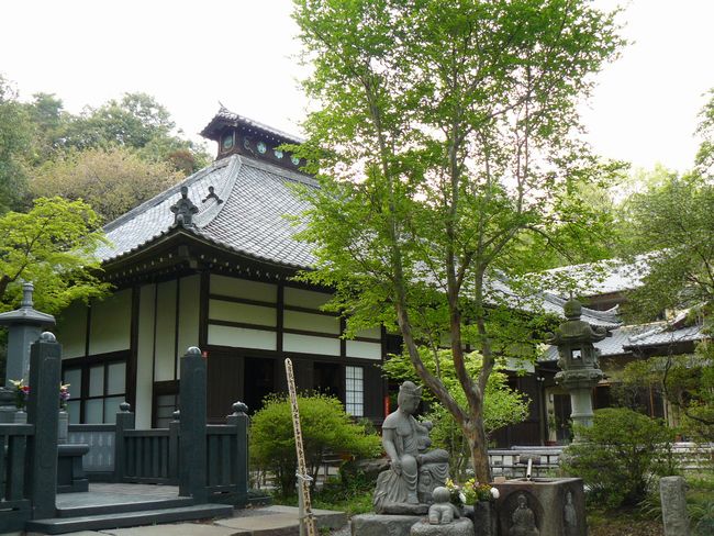 ���c�s�F������